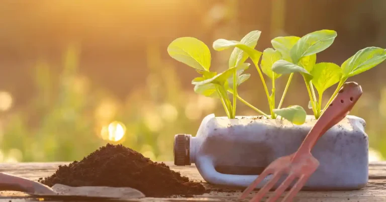 Como montar um jardim vertical reaproveitando recipiente plástico como vaso de cultivo, com mudas verdes crescendo no solo; ao lado, ferramenta de jardinagem e monte de terra sobre madeira, em ambiente iluminado naturalmente.