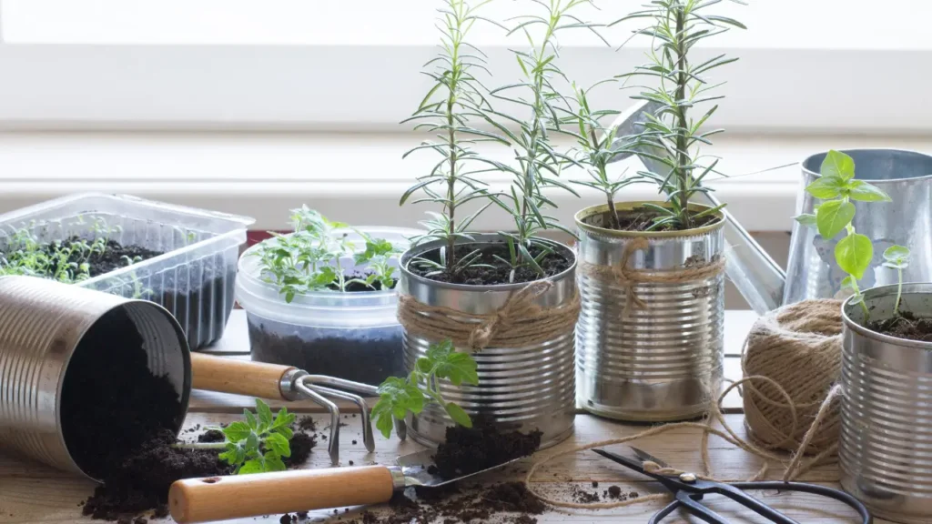 Horta integrada com ervas cultivadas em recipientes reutilizados sobre mesa próxima à janela.