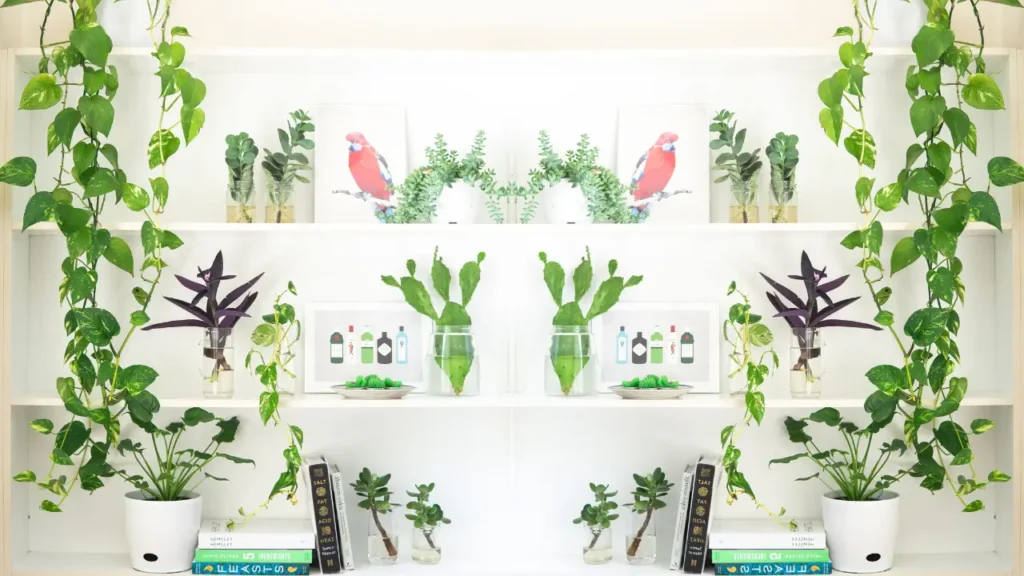 estante branca em móveis com plantas em decoração moderna e natural