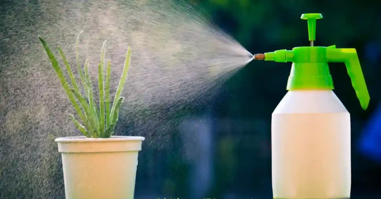Planta de aloe vera em vaso sendo borrifada com spray fino de um frasco branco com bico verde, ilustrando o uso de receitas de fungicidas naturais.