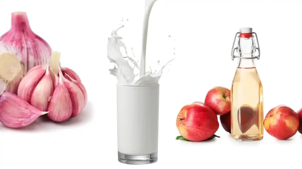 Alho, leite, vinagre de maçã e maçãs vermelhas dispostos sobre fundo branco, ingredientes naturais que podem ser combinados com cristais que potencializam a proteção espiritual.