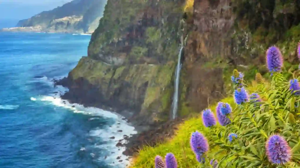 Paisagem costeira com falésias, cachoeira e flores silvestres, ilustrando o ecoturismo no Nordeste.