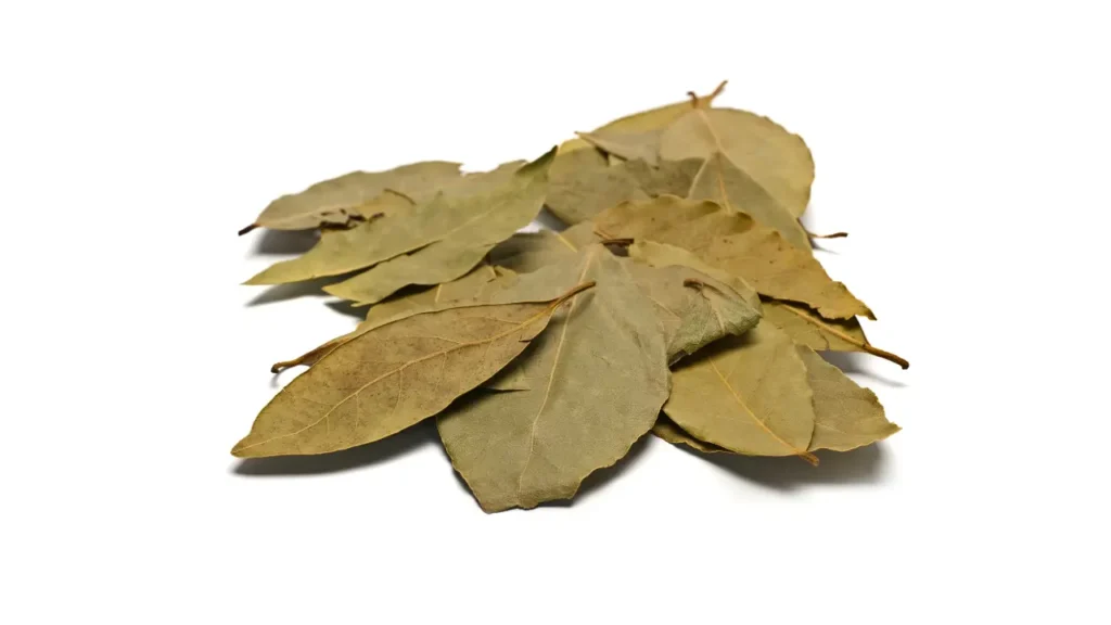 Pilha de folhas de louro secas sobre fundo branco, idealizadas para uso culinário ou para práticas como queimar folhas de louro em rituais aromáticos.