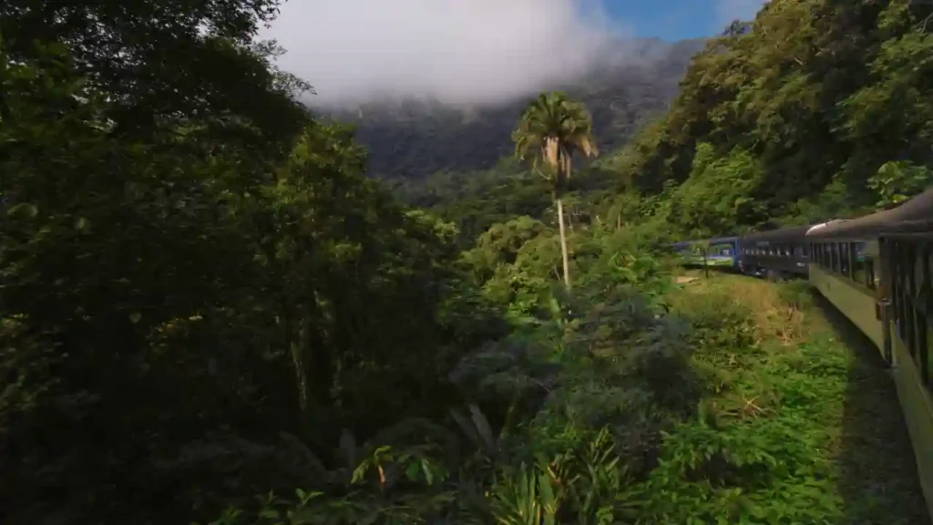 Expresso Serra Verde atravessa floresta densa e montanhosa, com vegetação exuberante e neblina ao fundo.