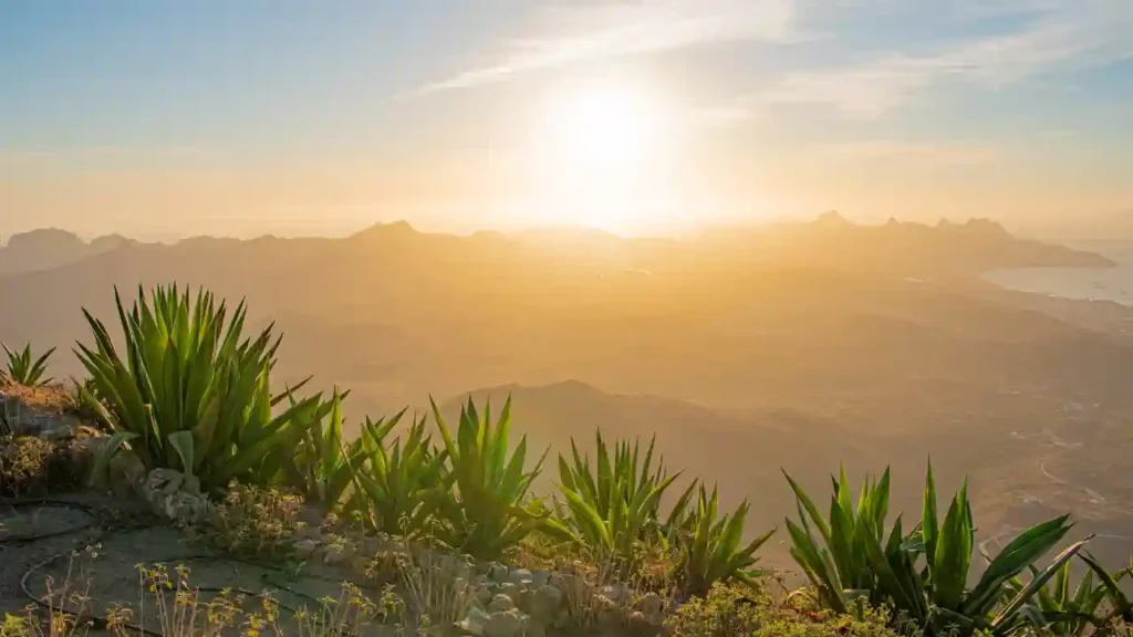 Vista de montanhas ao pôr do sol com plantas de agave em primeiro plano, representando um dos lugares no Brasil para fugir dos mosquitos.